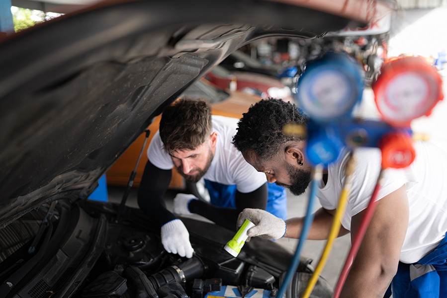 Elite Auto Electronics ChCh